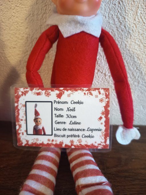 Carte d'identité du lutin farceur 