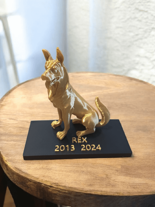 Souvenir de vos animaux 